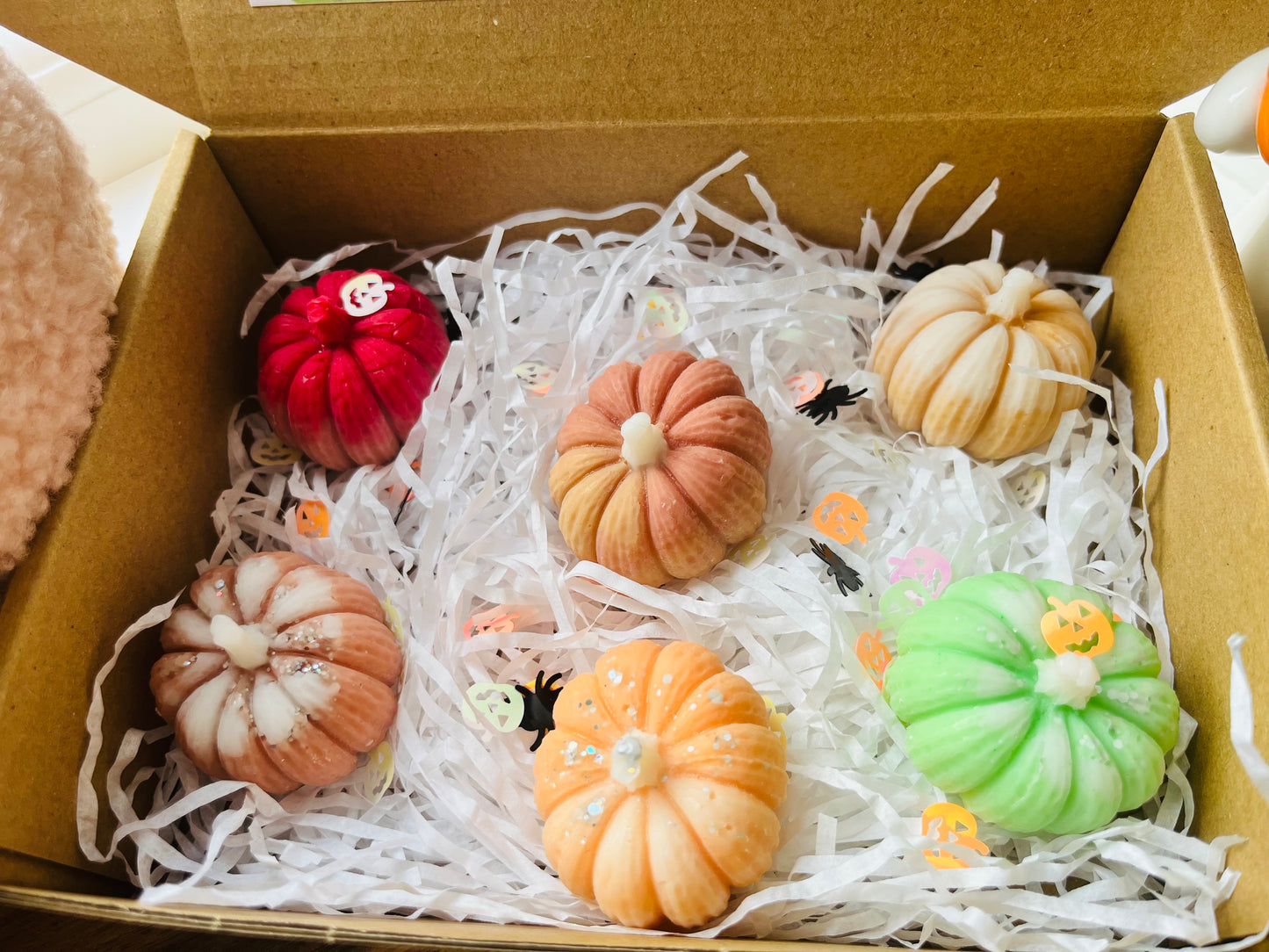 Neutral Pumpkin Patch