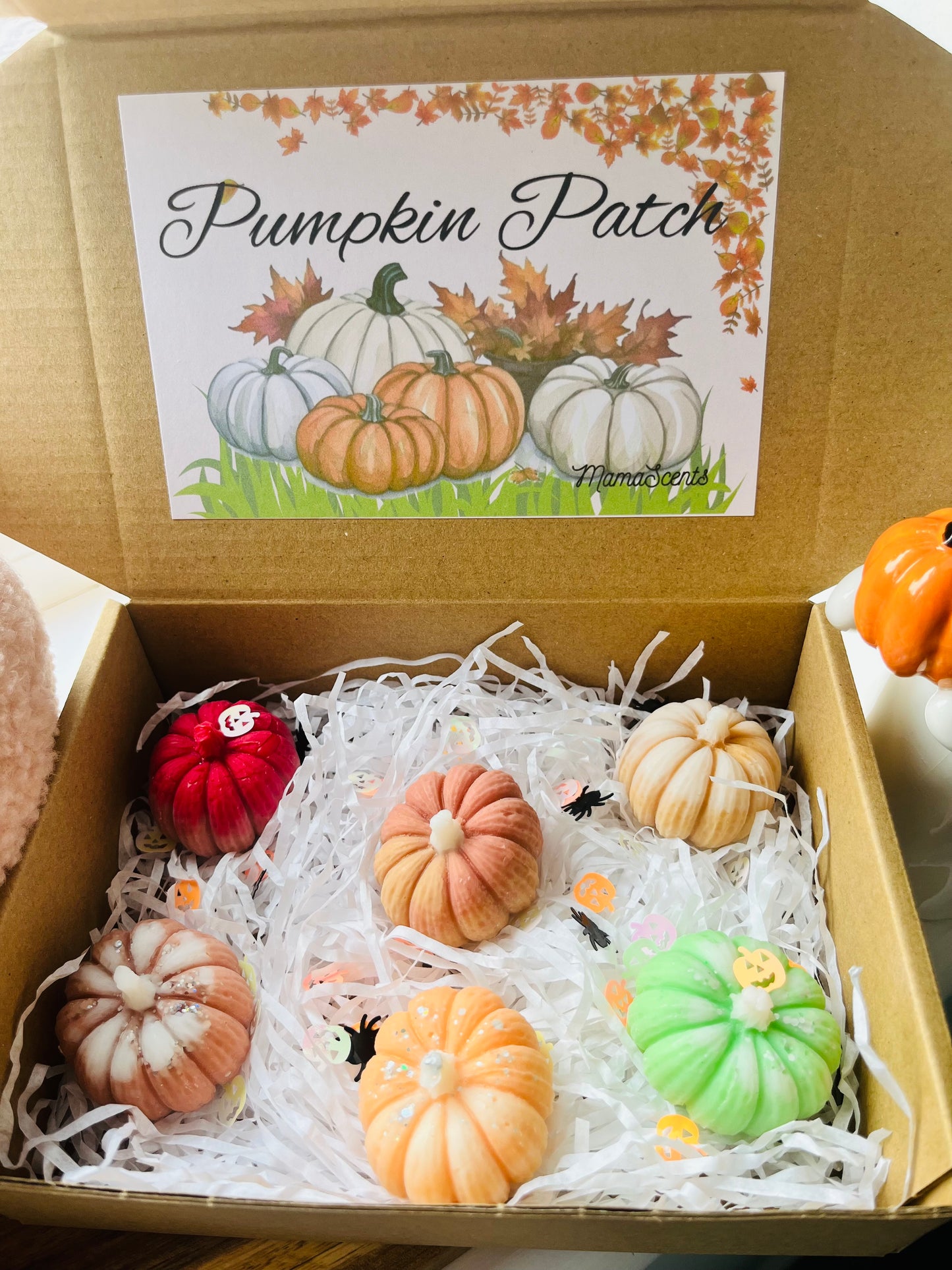 Neutral Pumpkin Patch