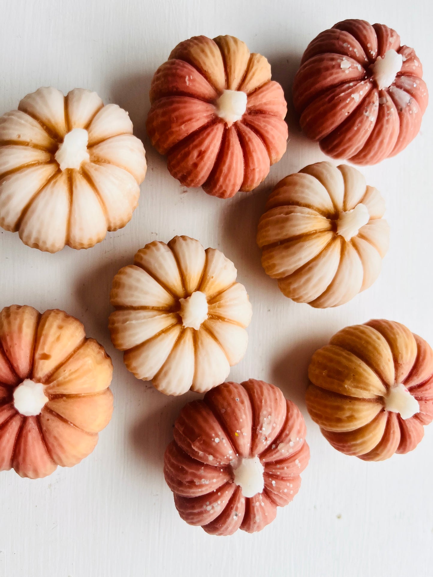 Neutral Pumpkin Patch