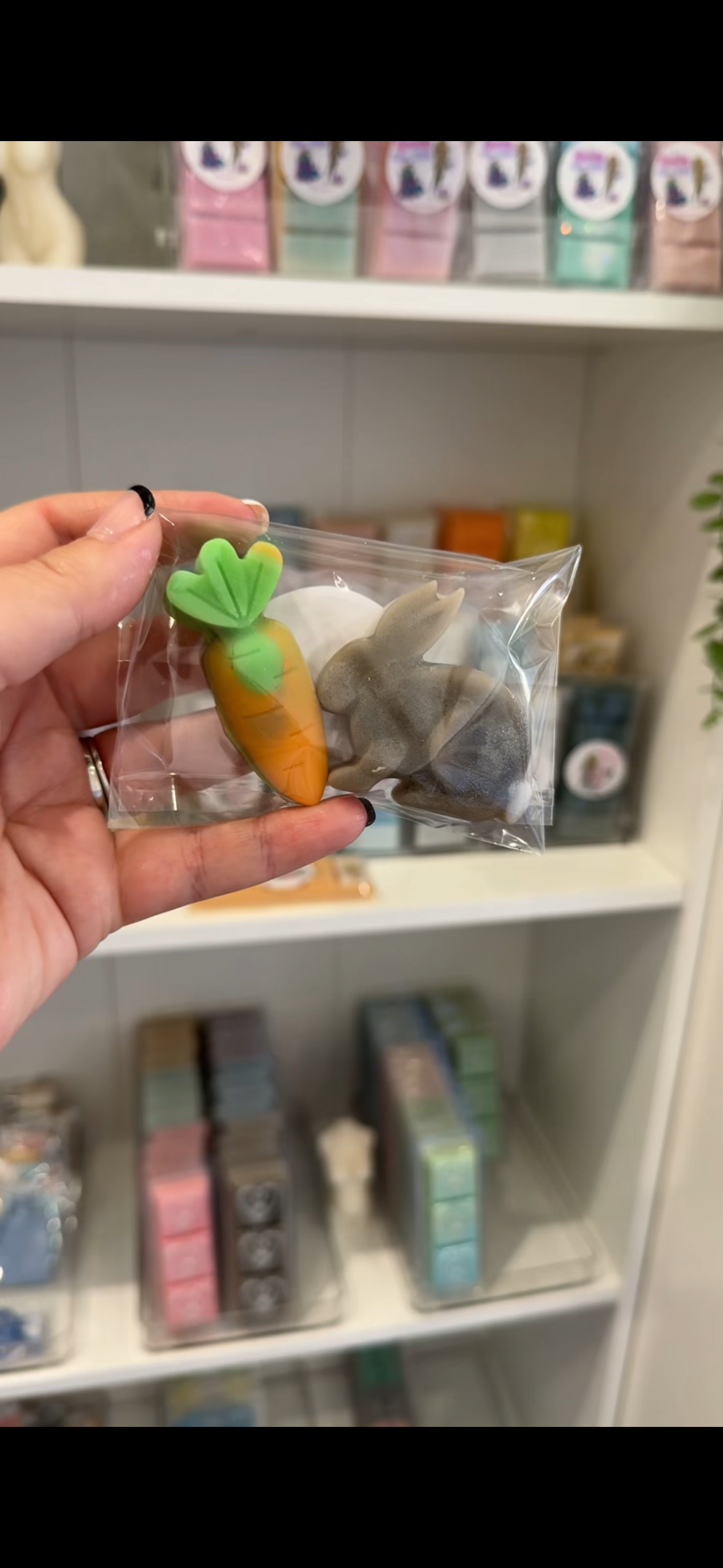 Bunny & Carrot