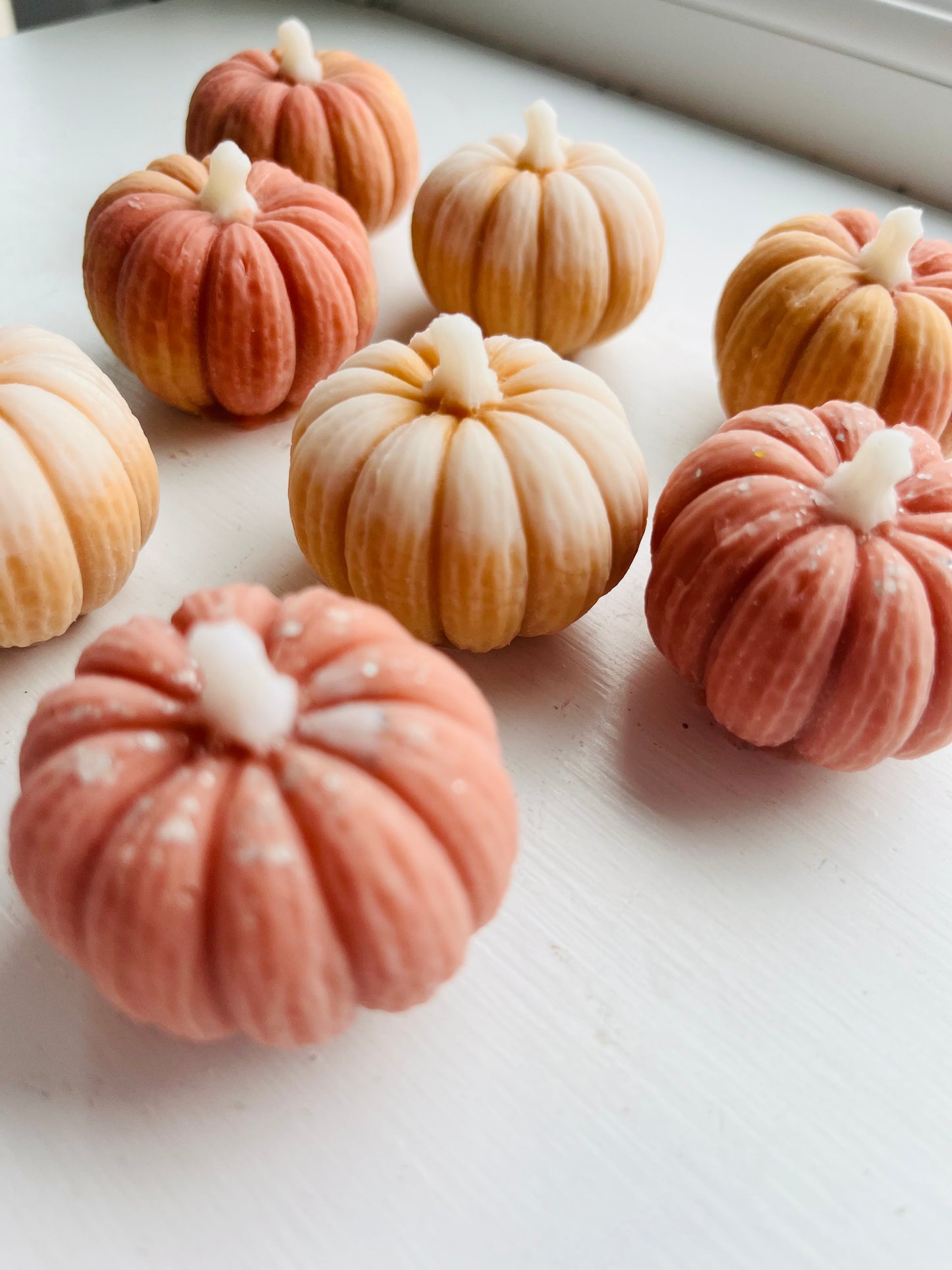 Neutral Pumpkin Patch